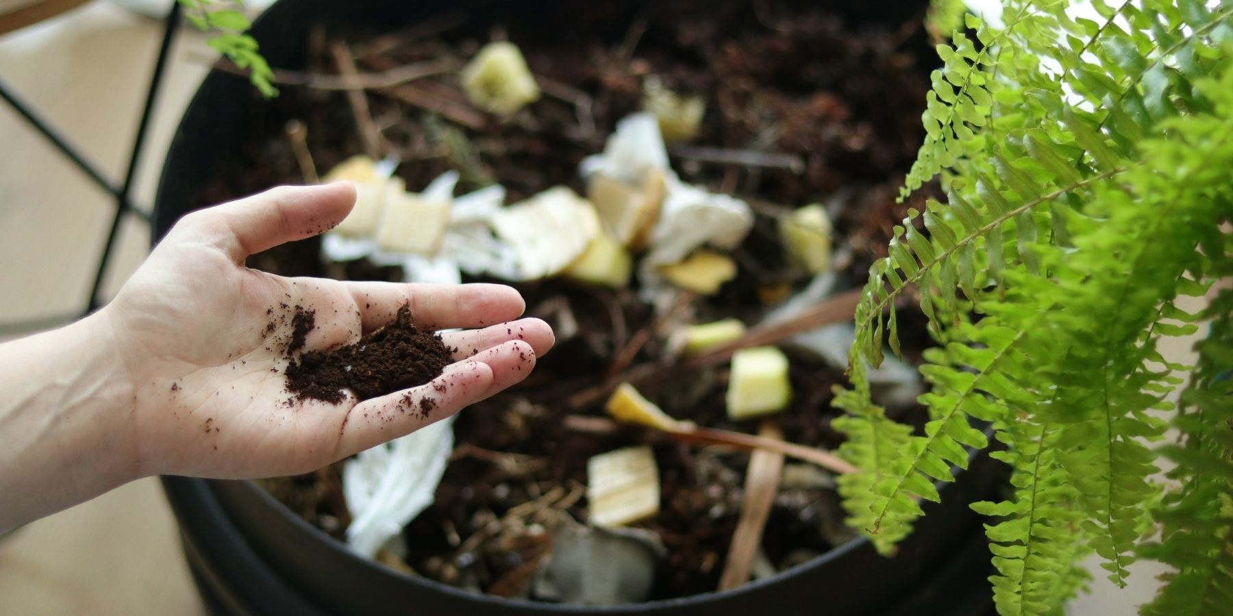 De tu cocina a tu jardín ¿Cómo hacer un buen compost en casa?