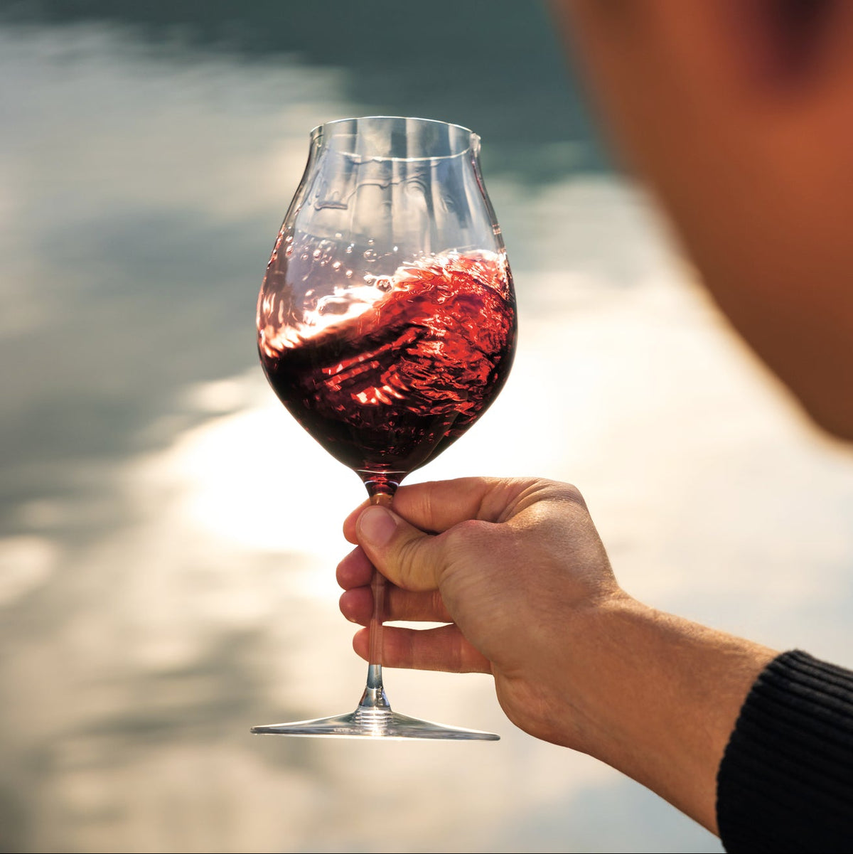 RIEDEL PERFORMANCE SET 2 COPAS PINOT NOIR