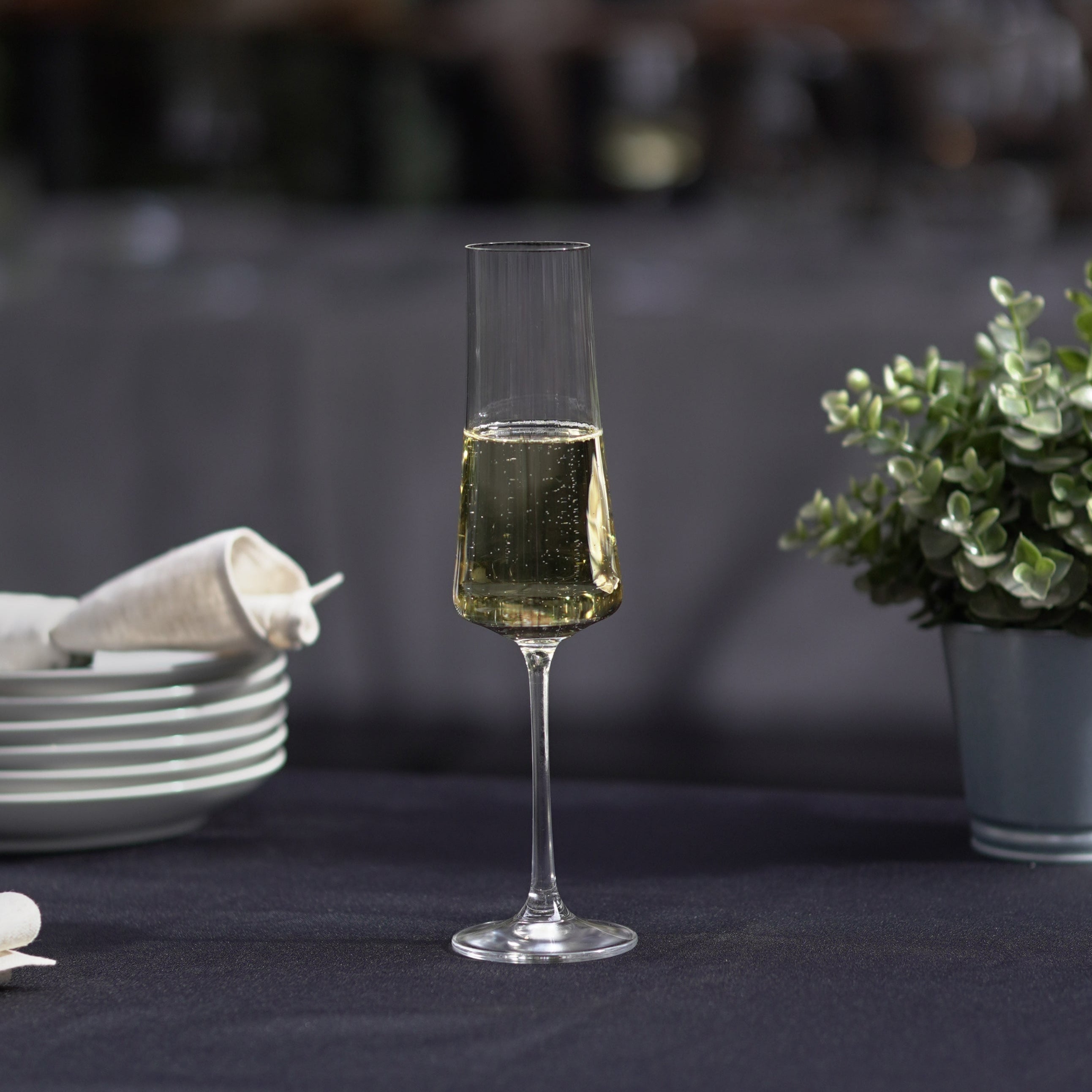 CRYSTALEX SET 6 COPAS CHAMPAGNE XTRA OPTIC 210ml