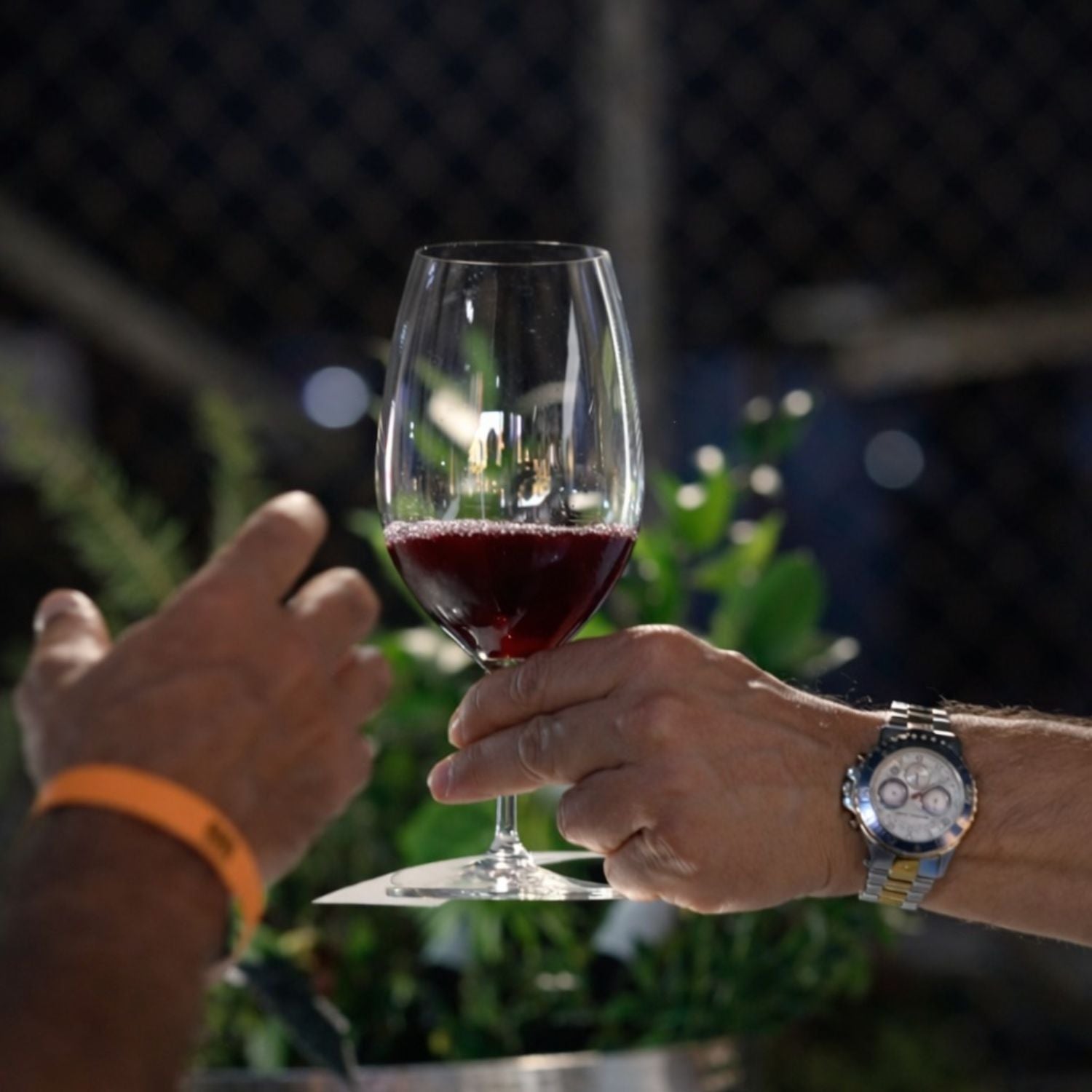 RIEDEL VINUM SET 2 COPAS CARMENERE