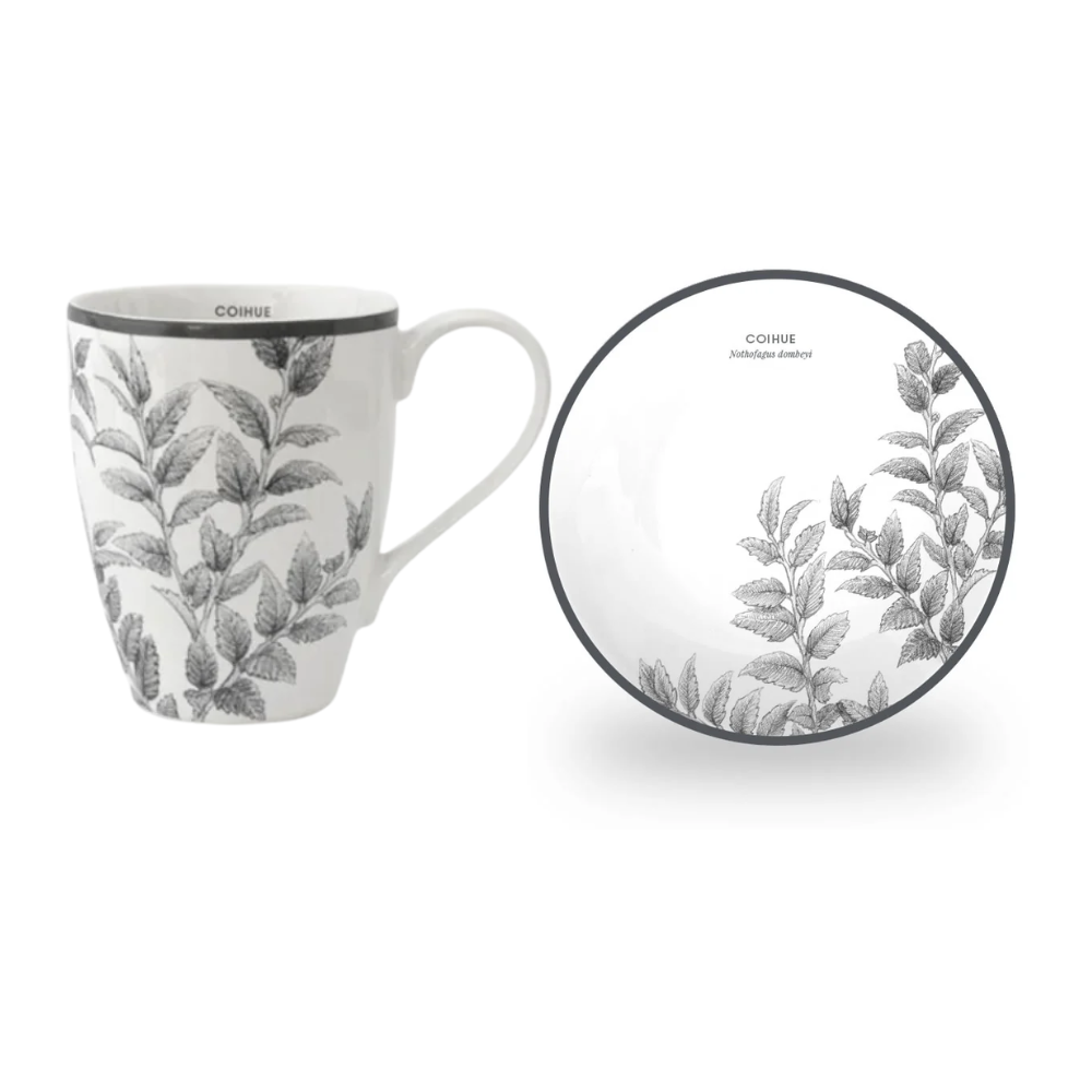 PACK COIHUE: MUG + PLATO PAN PARA 6 PERSONAS