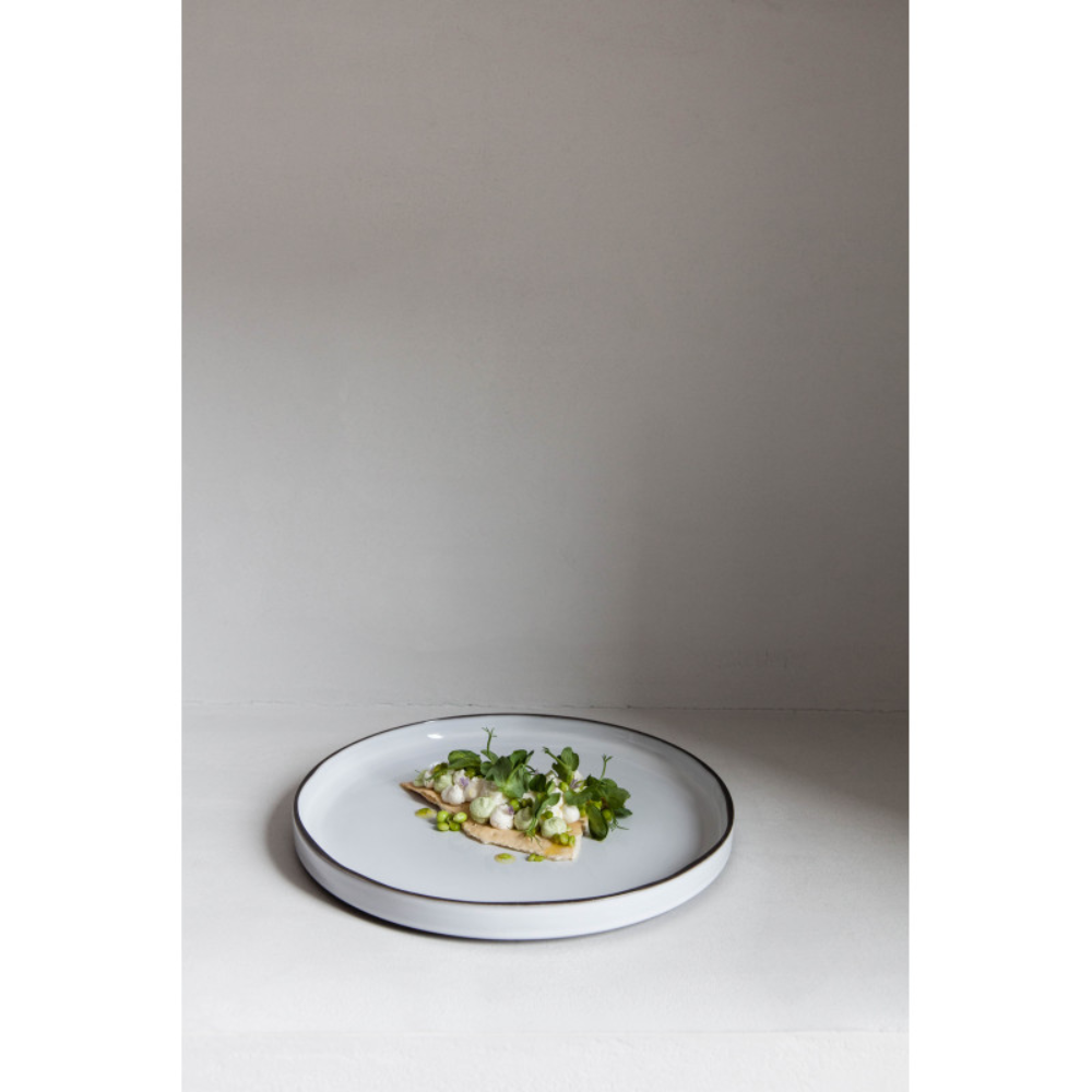 REVOL CARACTERE SET 4 PLATOS 26cm.