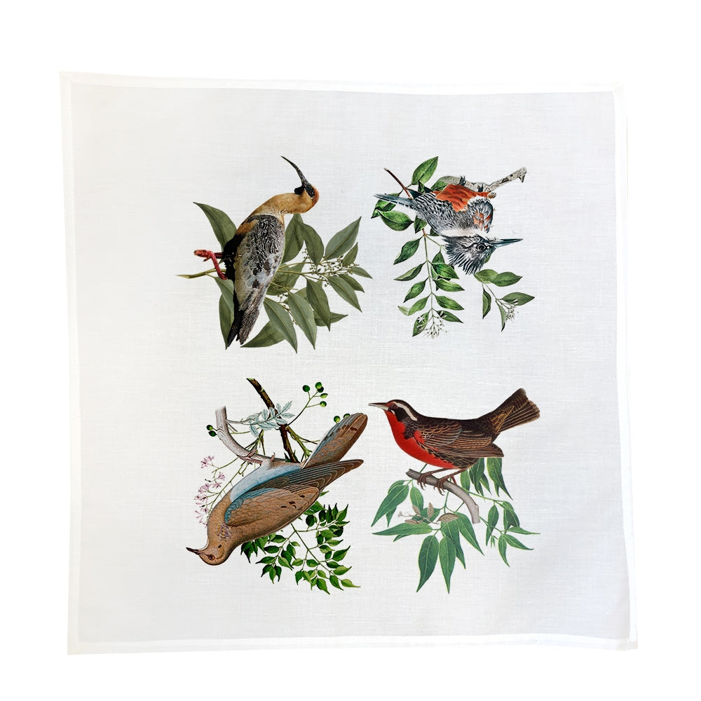 TUYO PRINT: SET 4 SERVILLETAS NATIVO