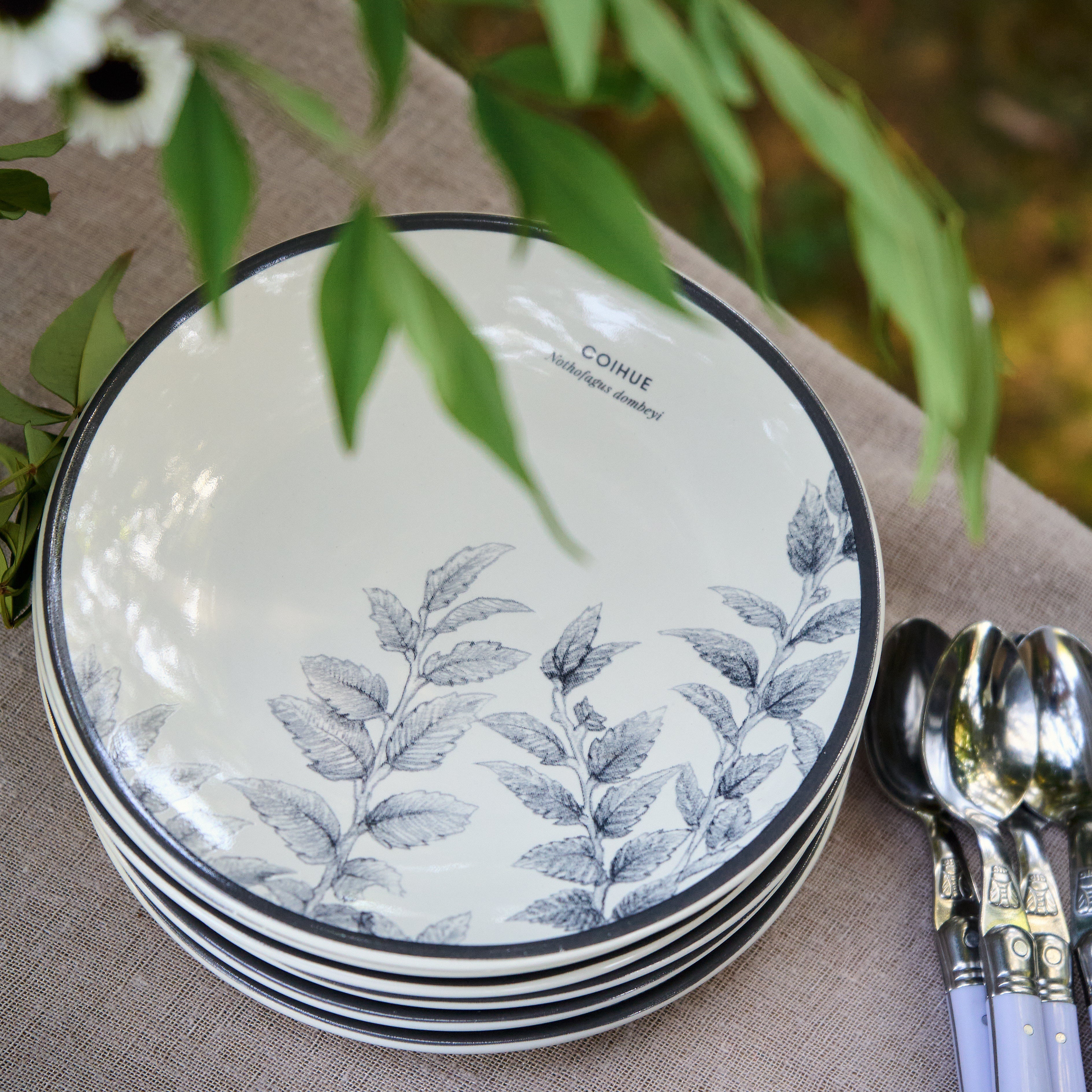 PACK COIHUE: MUG + PLATO PAN PARA 6 PERSONAS