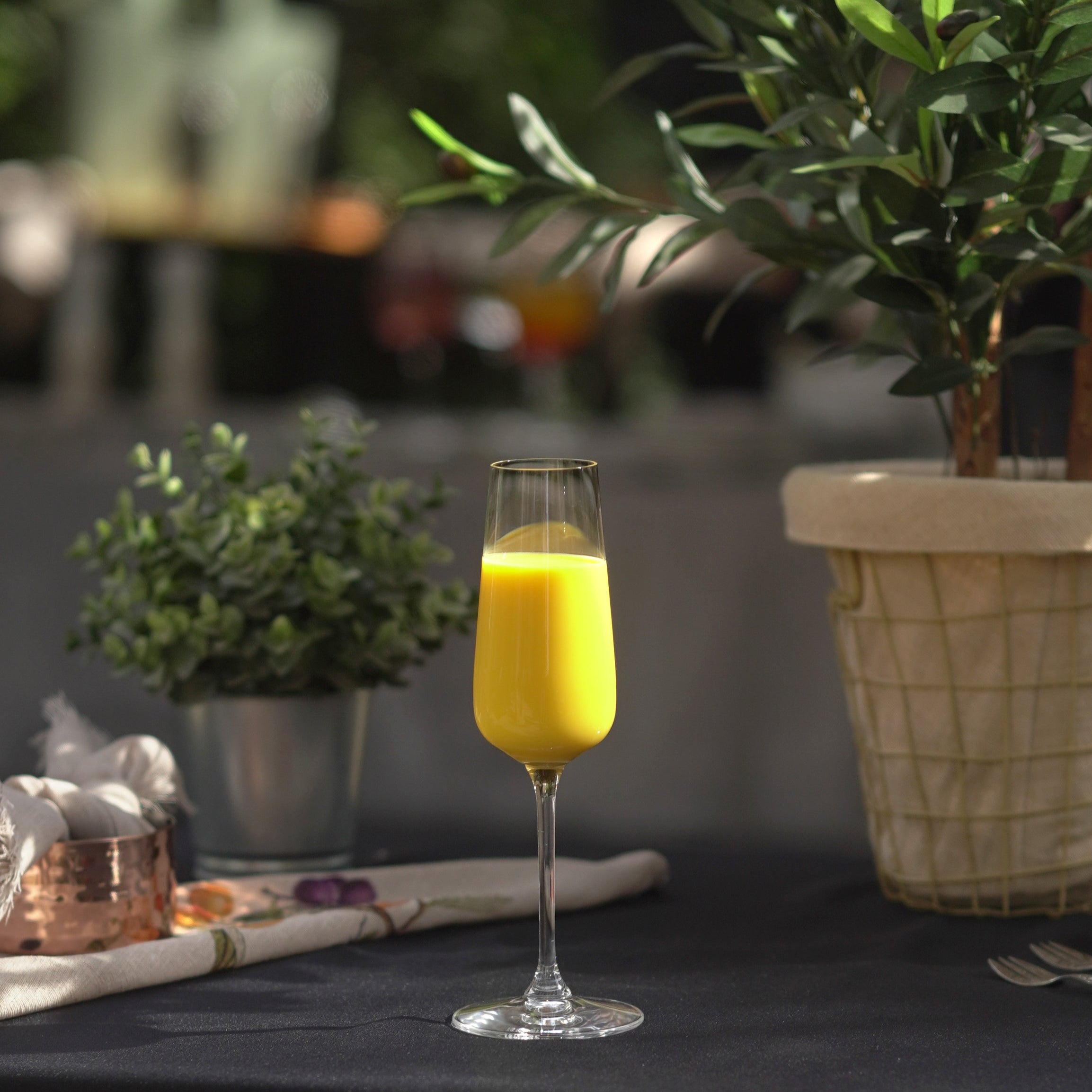 RIEDEL GRAPE SET DE 2 COPAS CHAMPAGNE