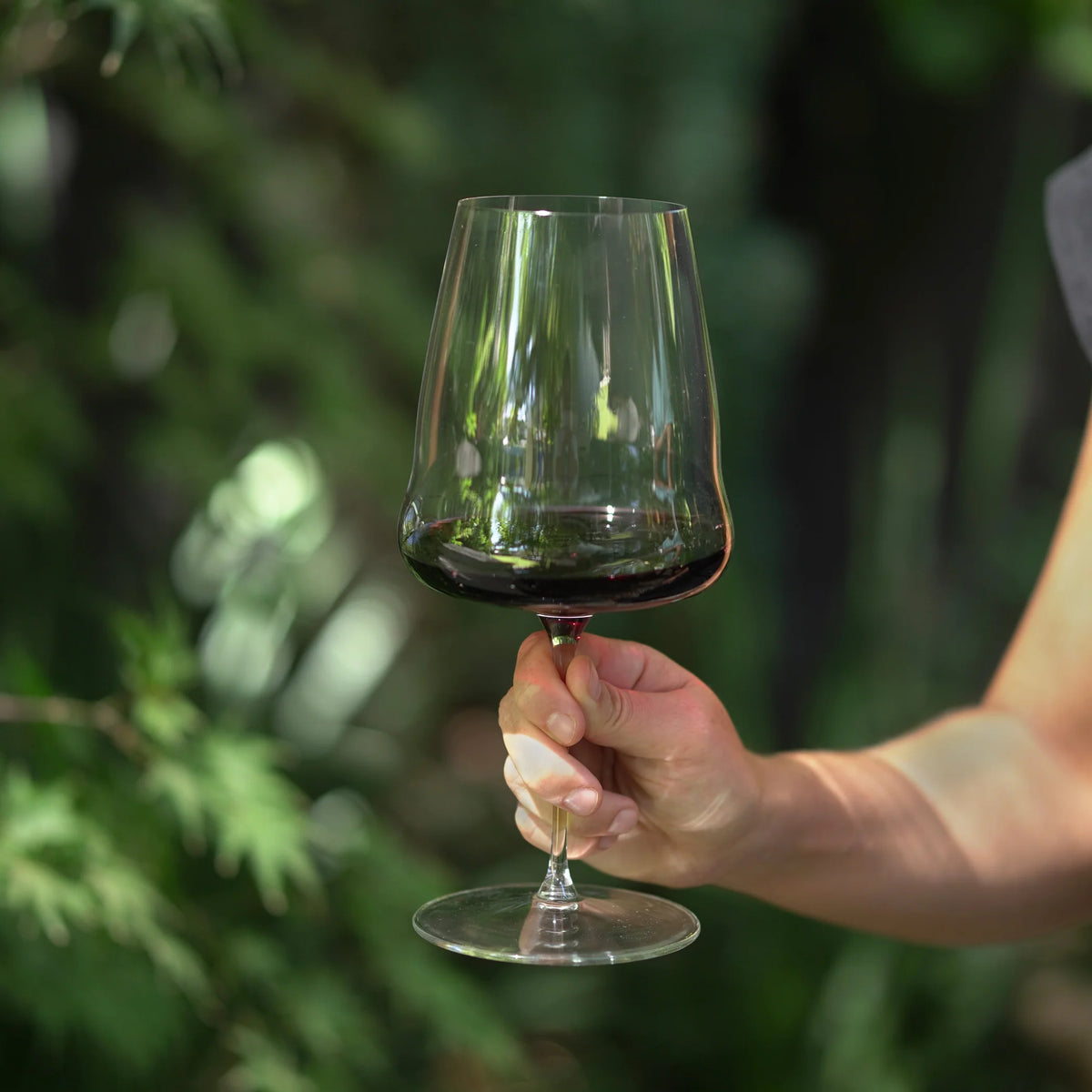 Set 2 Copas Winewings Cabernet Sauvignon Riedel