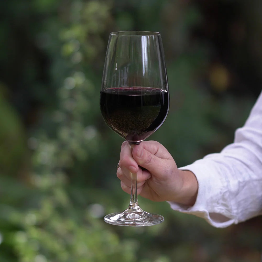 PACK VIOLA PARA 6 PERSONAS TINTO, BLANCO, GIN Y ESPUMANTE