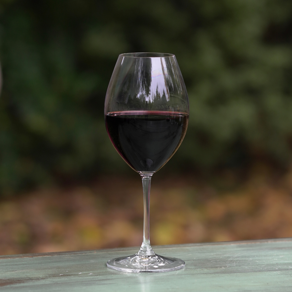 RIEDEL SET 2 COPAS VINUM XL SET SYRAH