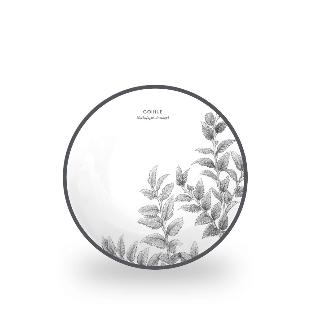 PACK DE VAJILLA COIHUE by Garuga 6 PERSONAS