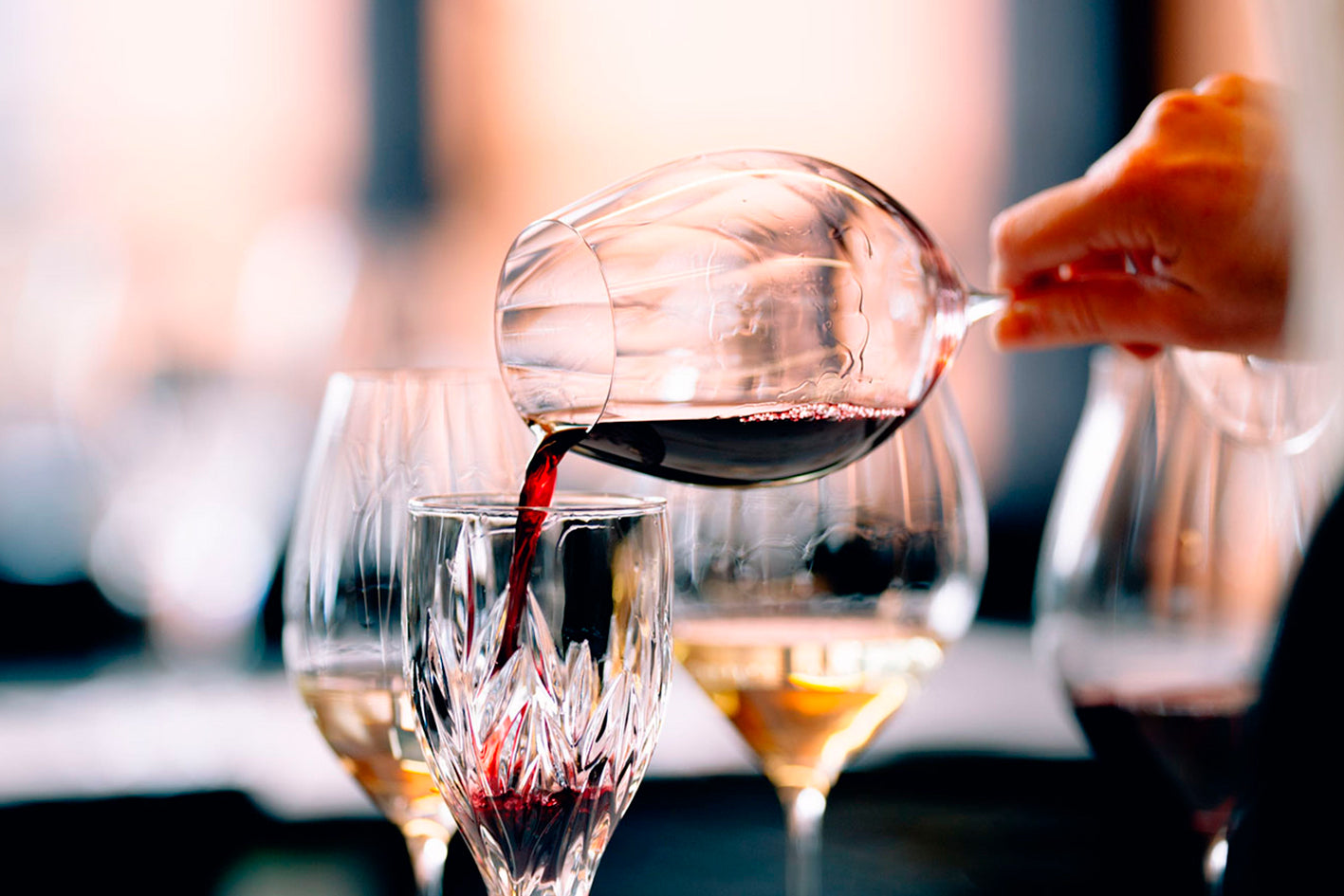 La copa perfecta para cada cepa de vino 