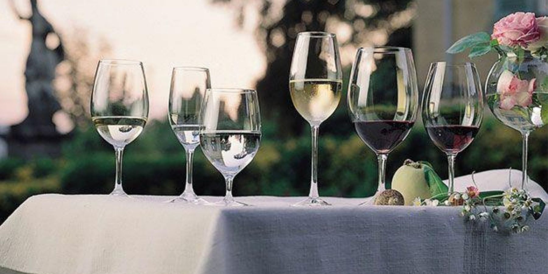 Cada cepa con su copa: La especialidad de RIEDEL