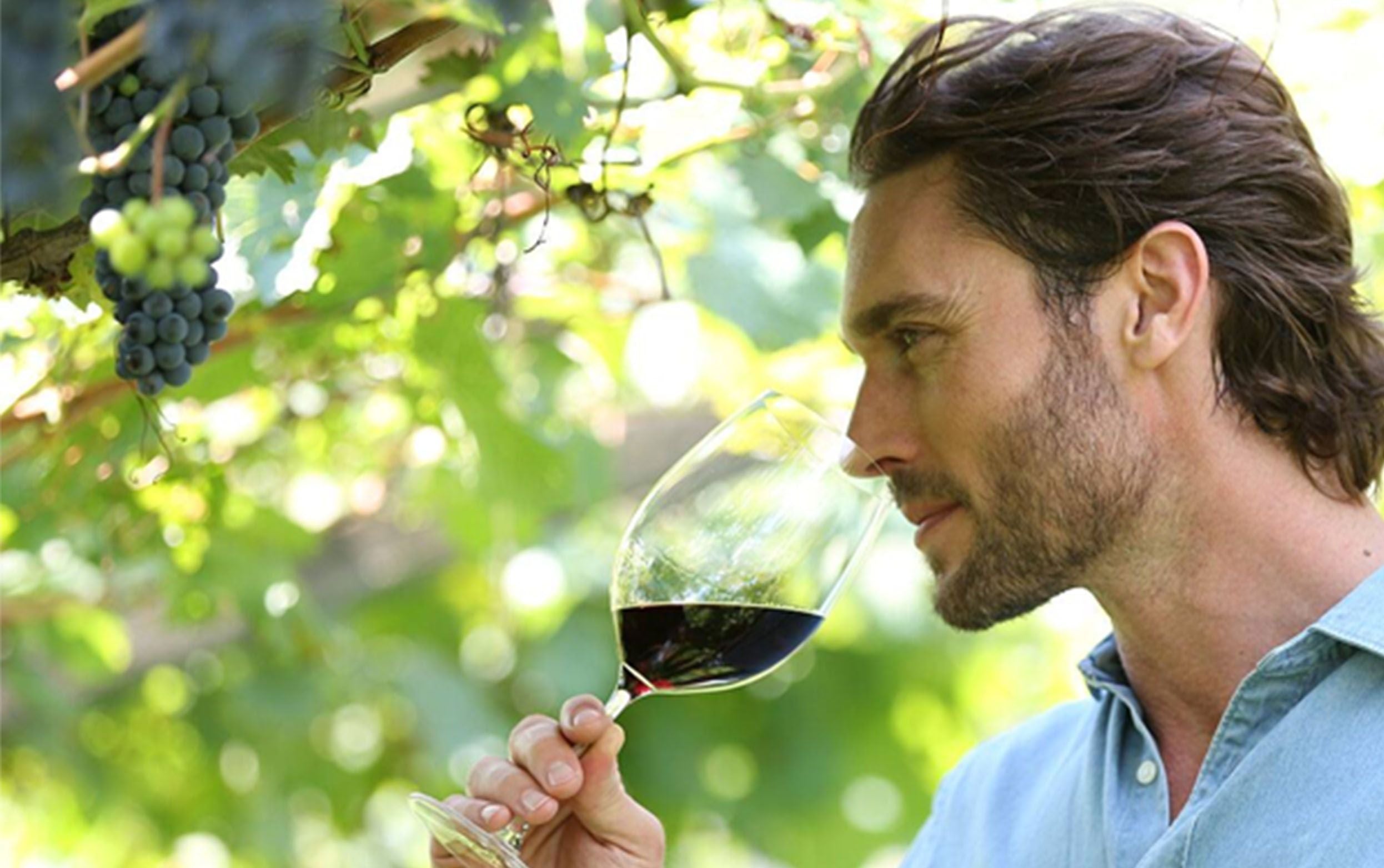 LOS SENTIMIENTOS DEL VINO