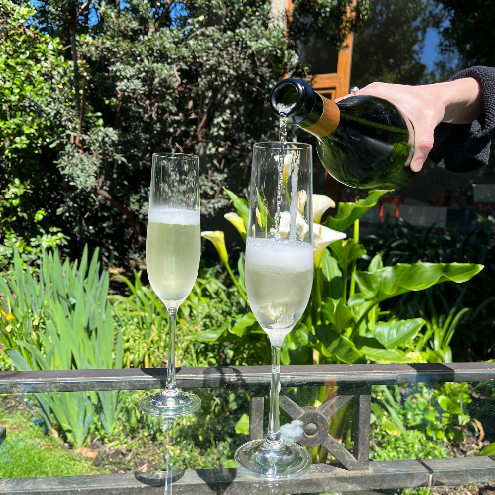 CRYSTALEX SET 6 COPAS CHAMPAGNE VIOLA