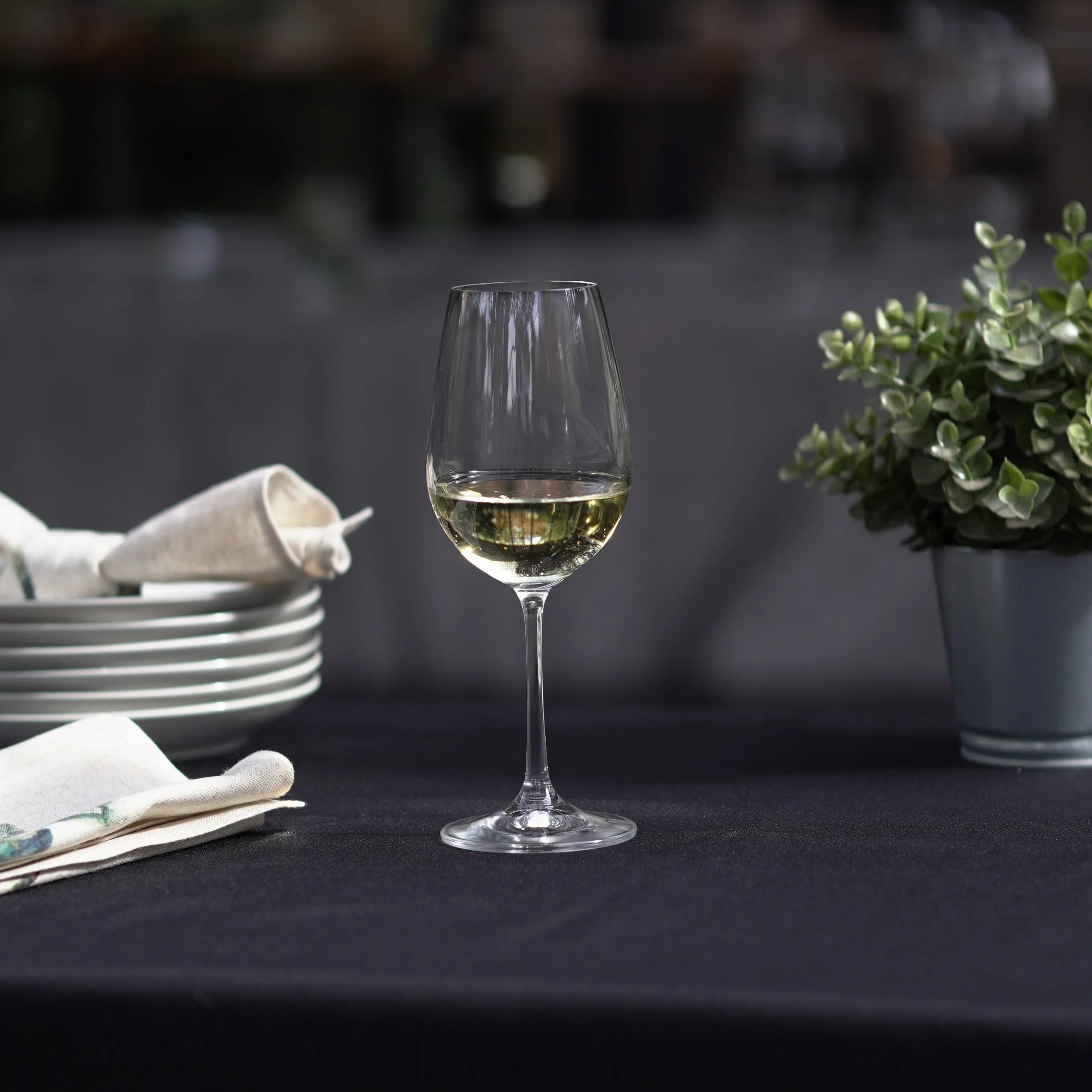 PACK VIOLA PARA 6 PERSONAS TINTO, BLANCO, GIN Y ESPUMANTE