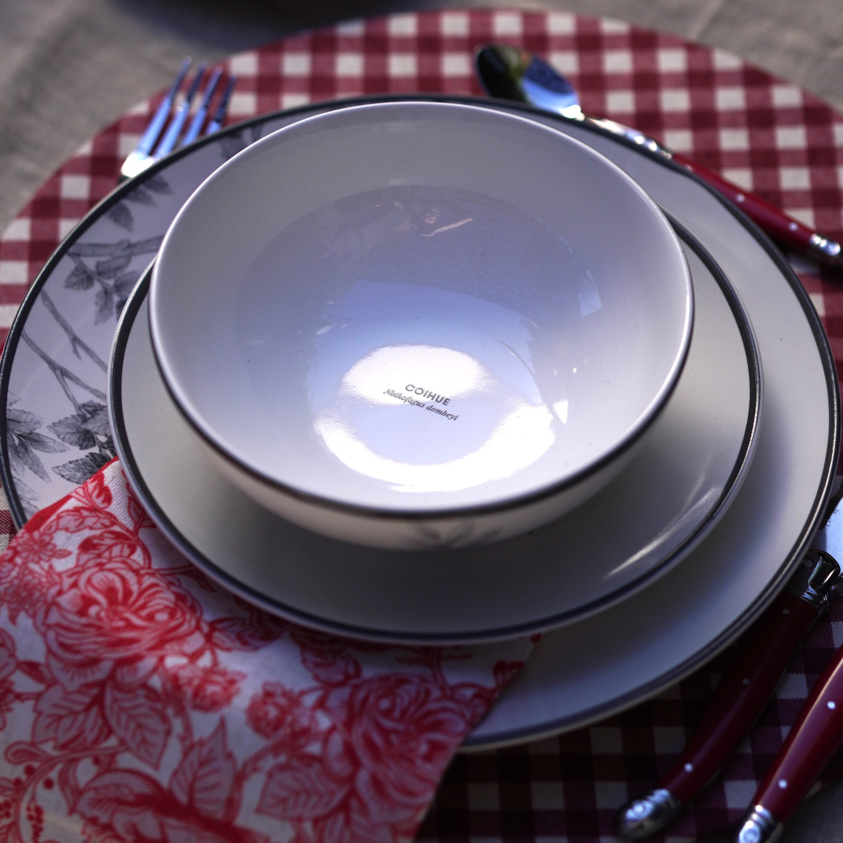 JUEGO VAJILLA 24 PIEZAS PORCELANA COIHUE KLAPP BY GARUGA