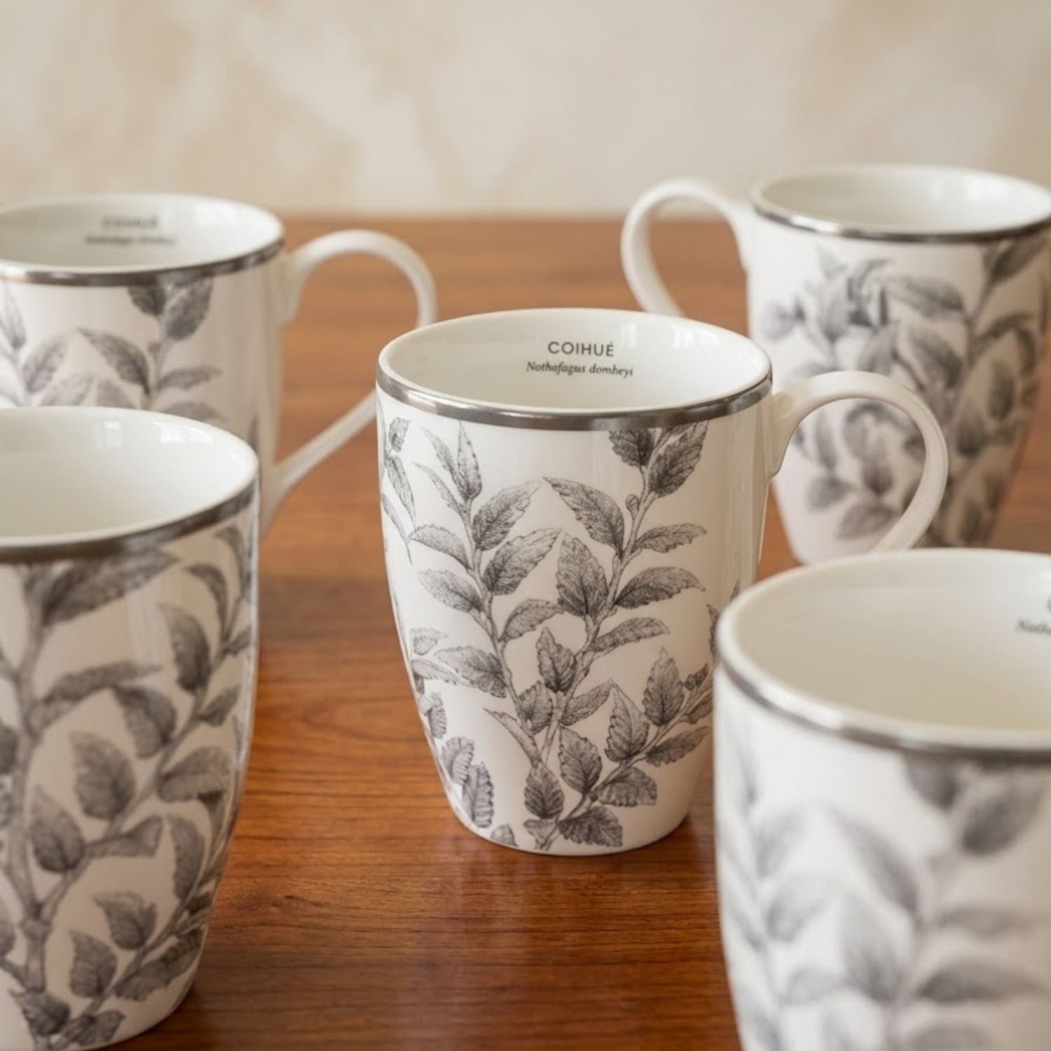 Set De 6 Mugs Porcelana Coihue Klapp