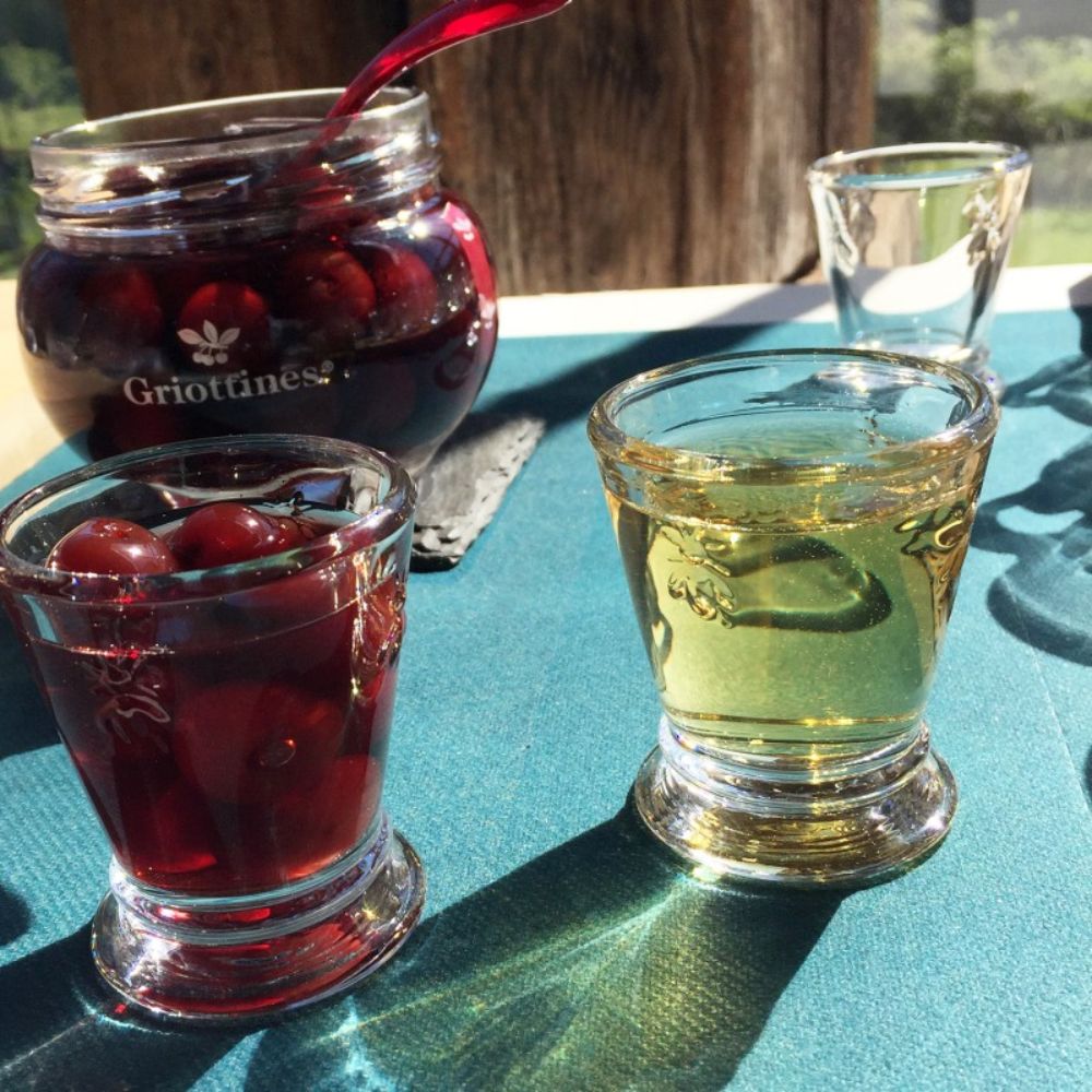 SET 6 VASOS ABEJA 260ml