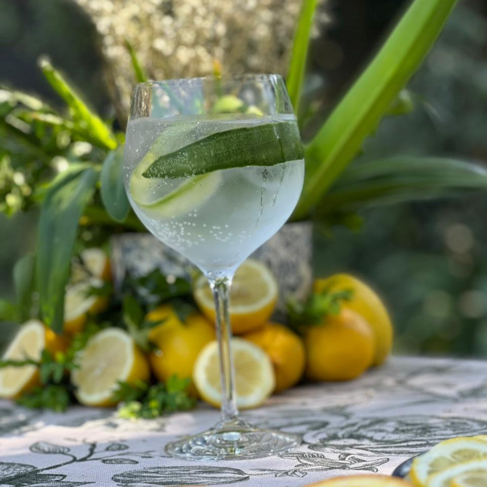 RCR SET 6 COPAS GIN/RAMAZZOTII - INVINO I67