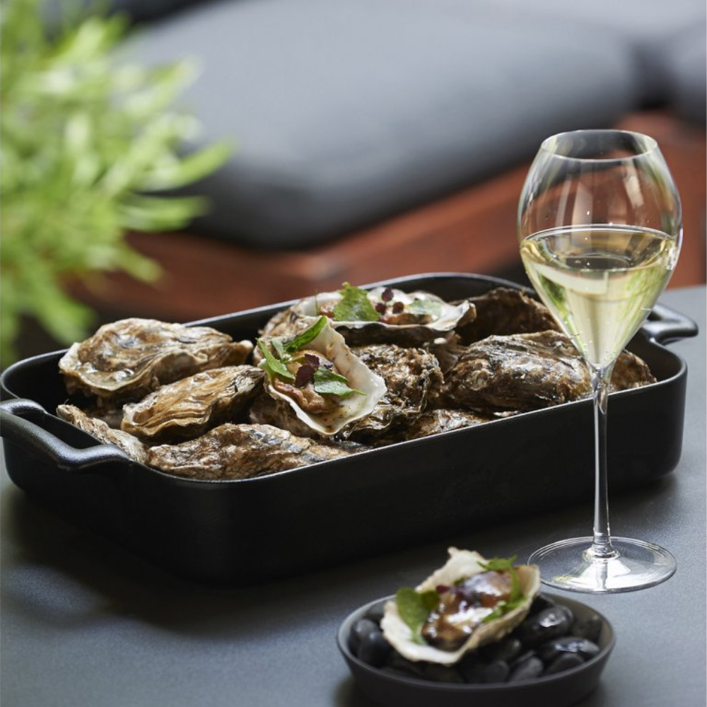 REVOL BC FUENTE HORNO 30X21,5cm.