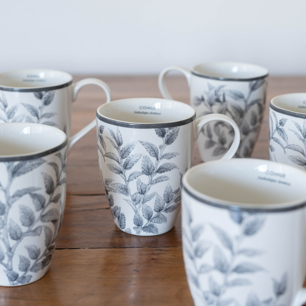 SET 6 MUGS PORCELANA COIHUE