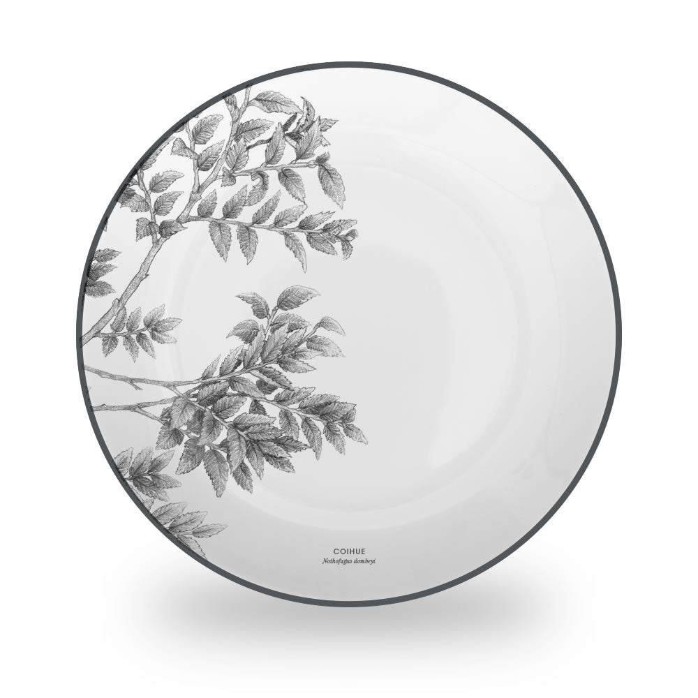 JUEGO VAJILLA 24 PIEZAS PORCELANA COIHUE KLAPP BY GARUGA