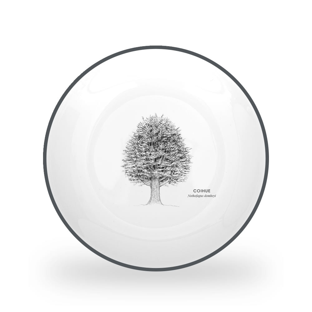 JUEGO VAJILLA 24 PIEZAS PORCELANA COIHUE KLAPP BY GARUGA